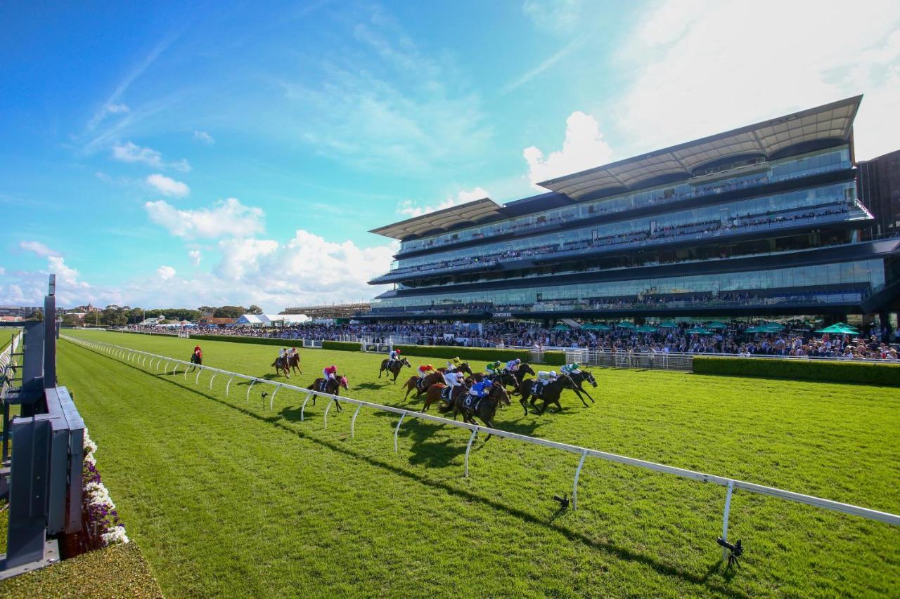 فندق بيروس لودج Randwick المظهر الخارجي الصورة
